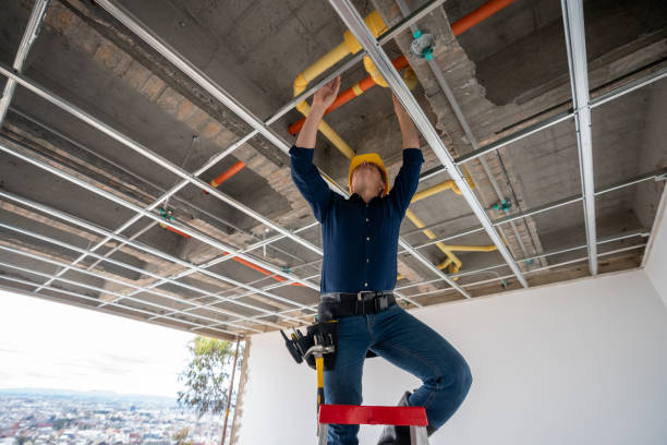 Best Plumbing Inspection Services  in Bard College, NY